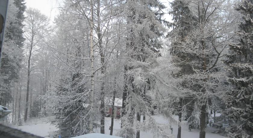Neitsytniemen Kartano Bed and Breakfast Imatra Camera foto