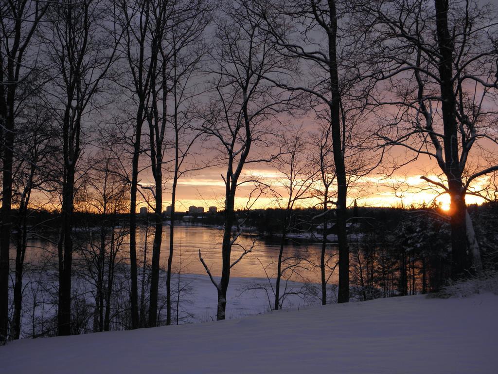 Neitsytniemen Kartano Bed and Breakfast Imatra Esterno foto