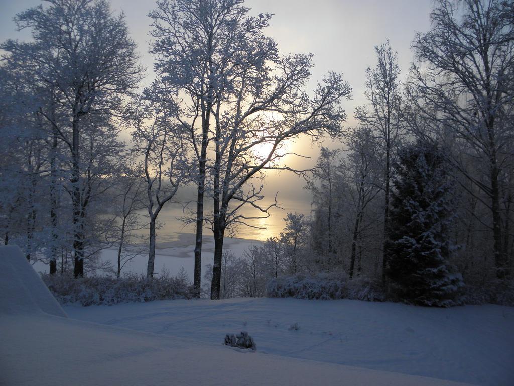 Neitsytniemen Kartano Bed and Breakfast Imatra Esterno foto